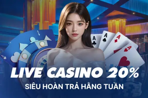 Thiet ke chua co ten 6